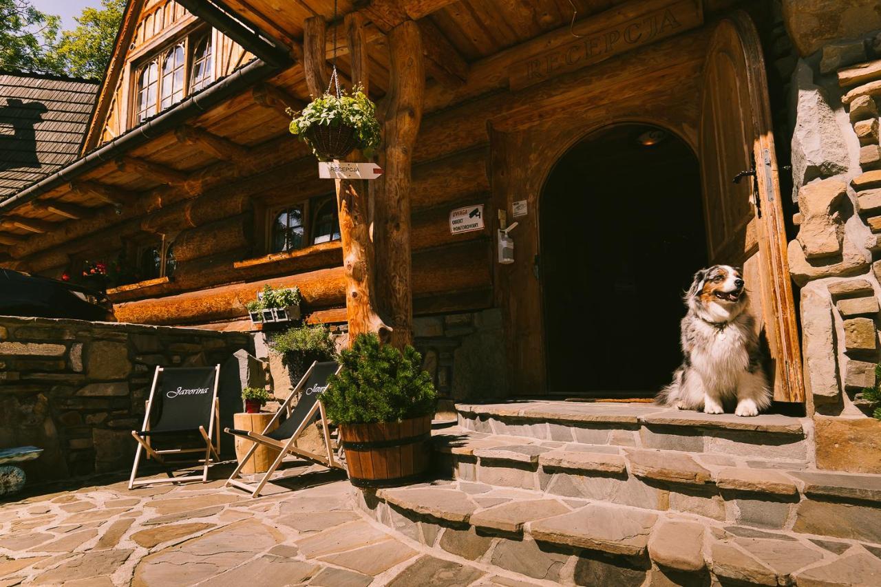 Pokoje Javorina Zakopane Dış mekan fotoğraf